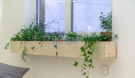 Большой подоконник с растениями добавляет помещению уюта